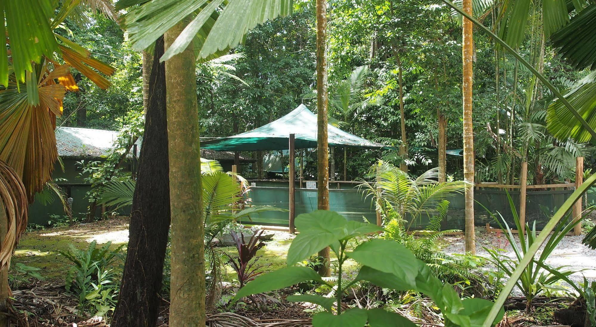 Daintree Crocodylus Villa Cow Bay Ngoại thất bức ảnh